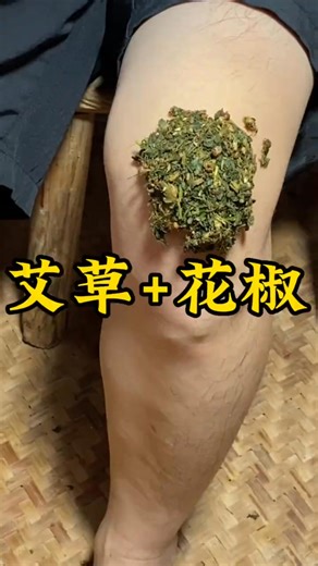 艾草你們了解嗎？又叫艾葉 蘄艾，端午節很多朋友家鄉有掛艾葉的習慣#植物科普#漲知識 | 金毛臭臭