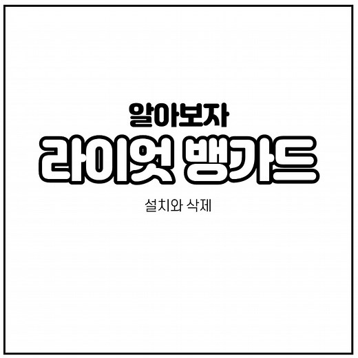 라이엇 뱅가드 설치 에 대해 알아보자.