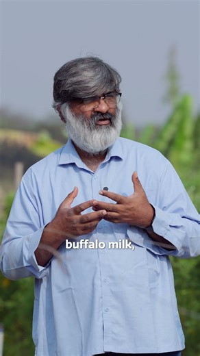 Comparing cow milk and buffalo #milk