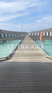 It’s the iconic Outrigger barefoot luxury you love in the world’s most spectacular destination – Outrigger Maldives Maafushivaru Resort offers the perfect picture-perfect slice of paradise Enjoy daily dining and seaplane transfers or upgrade to the all-inclusive package for so much more. Travel until SEP 2025. Book now: https://bit.ly/3V0CQMV | Luxury Escapes