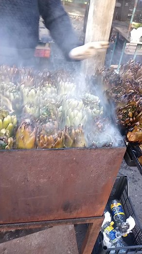 #salvocinturino #hanesciriisoddi #alfiosgroi #Liscia #catania?? #ironiaa @84giovannimacinbu84 @giovannimascali25