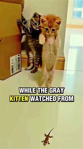 Two Kittens Get Confused by a Tiny Lizard