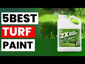 Top 5 Best Turf Paints for Lush Green Lawns in 2025 | Safe, Long-Lasting & Easy to Apply