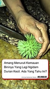 Permintaannya ga banyak tapi susah dicari. Apa. Ama duriannya ini, Wal? [via vt/orang_bebas92] Seru-seruan bareng @hellokalsel Follow! | Hellokalsel Banjar