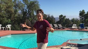 Go ahead! Laugh! Life happens😊 It's Your Succulent "Dip" of The Day! With Laura Eubanks at Design for Serenity. | Design For Serenity