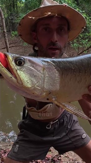 Saratoga #adventure #fishing #saratoga #explore #nature