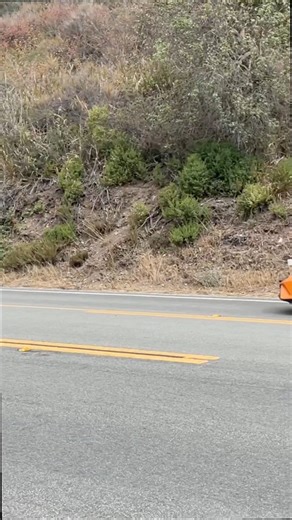 Definition of fast, speed limit and just having a great time. #supercars #fblifestyle #mclaren #lamborghini | Speedster404