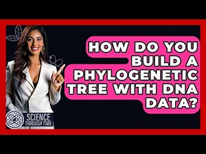 How Do You Build A Phylogenetic Tree With DNA Data? - Science Through Time