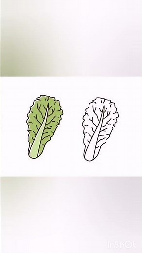 Easy To Draw A lettuce🥬#art#artist#artwork#easy#lettuce#drawing#drawingtutorial#viral#viralvideo#yt