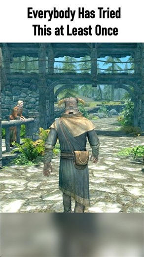 Everybody Has Tried This at Least Once - Skyrim