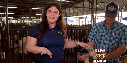 Ozark Empire Fair: Meet Ky the Sheep