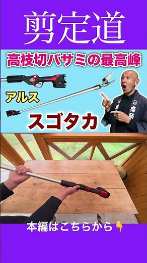 高枝切バサミの最高峰！！アルススゴタカ試してみました #剪定道具 #庭作業 #庭木の管理 #切り戻し #庭木の手入れ #庭木の剪定 #高枝切り鋏