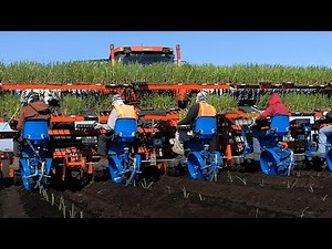 Sugarcane cultivation - Ferrari FMAX MAXI transplanter machine