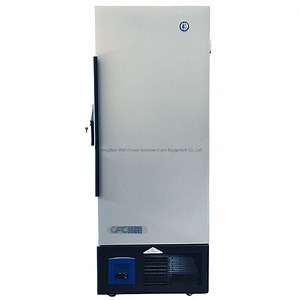 [Hot Item] Mini 12V Chest Medical Laboratory Deep Freezer