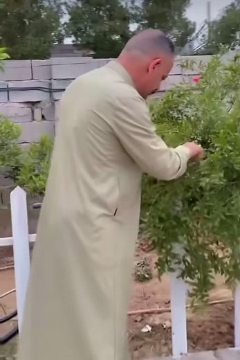 jaber Albadri on TikTok