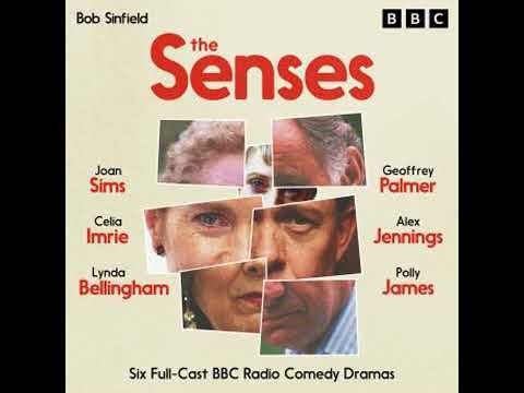 Senses: Six Full-Cast BBC Radio Comedy Dramas - Bob Sinfield