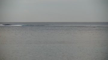 Teahupo'o Surf Report, Surf Forecast and Surf Cam - Surfline