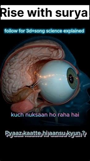 Payaaz kaate hi aansu kyun aata hai