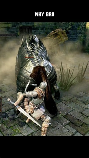 Why Bro #darksouls