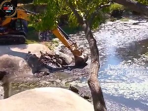 Removal of the Sutton Place HOA dam in Garland Texas | Inside Chanel