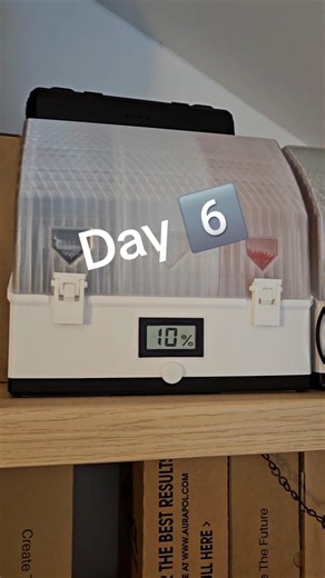 Can our Drybox Sustain 10% Humidity for 10 Days? #filament #multispool #dryer #ams