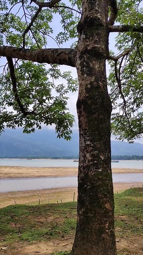 Life is nothing without peace🐬 | Robiul Islam