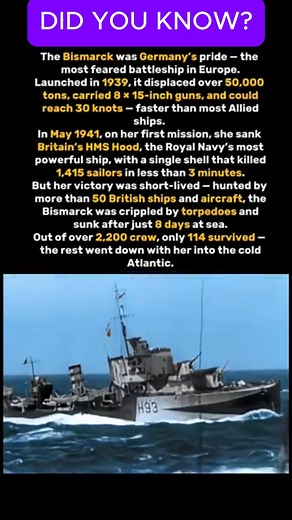 It took 50 ships to take down the German Bismarck battleship #history #war #ww2 #shortsreels | Declassified Archives