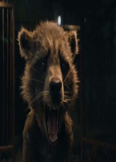 creep #rocketraccoon #radiohead #gotg #fyp #marvel | creep