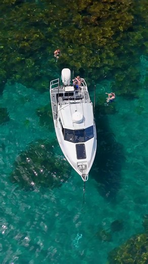 The water is warming up and summer days are ahead. #surteesboats #gamefisher #summerboatingfun | Surtees Boats