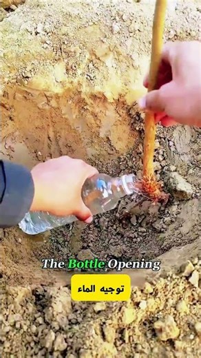 حل عبقري لزراعة النباتات في التربة الرملية والصخرية قليلة الرطوبة! 🌱💧