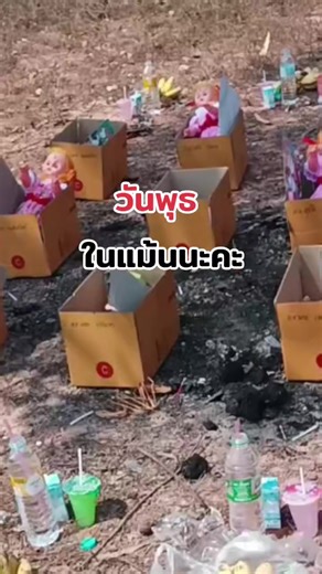 วิดีโอของ อ.พอลลี่ เบอร์ดีเสริมดวง(รอง1) (@pee3246) พร้อมเพลง เสียงต้นฉบับ - บีช วงกลม ทีเอ็มจีเรคคอร์ด - บีช วงกลม นะครับ