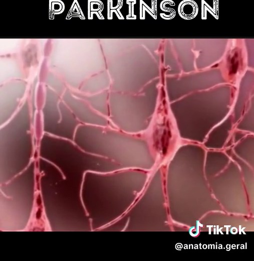 Tratamento e terapias complementares para a doença de Parkinson