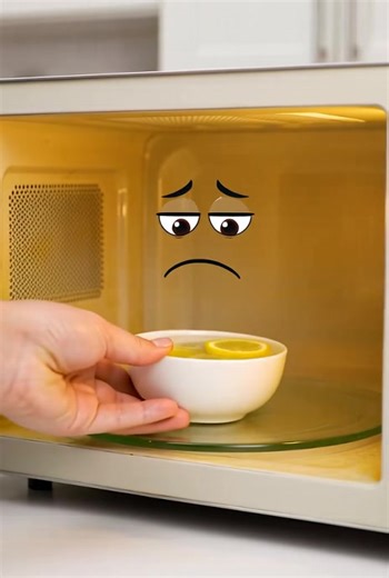 Effective Cleaning Tips for Your Refrigerator