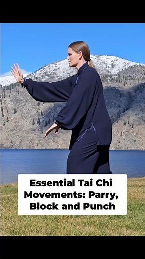 Practice Parry, Block & Punch - Essential Yang Tai Chi Movements