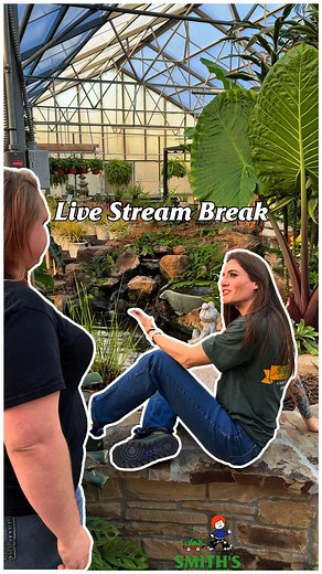 12K views · 115 reactions | Social media mgr taking a break and checking the live stream  We support stress relief here… and laughing about it along the way 華 #smithsgardentown #pondvibes #gardentok #retailhumor #socialmediamanagerlife #worklifebalance | Smith's Gardentown | Facebook