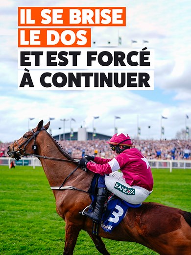 Tragédie de Gold Dancer : course hippique et éthique animale