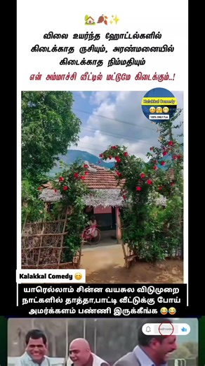Thatha, Paatti House Alaparaigal 😂😂