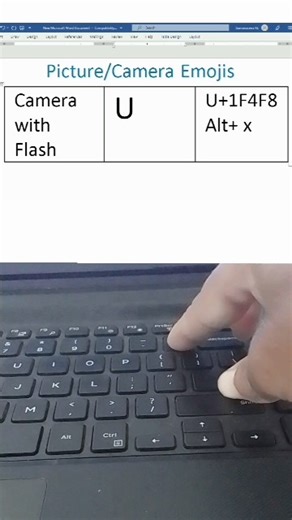 Picture /camera Emojis📸