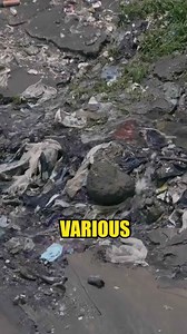 How One Plastic Bag Turns Into Millions of Microplastics: Shocking New Research on Ocean Pollution