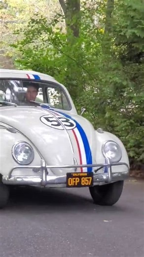 689K views · 19K reactions | Driving an Original Screen Used Herbie From The Love Bug 1997 #herbiethelovebug #herbiethelovebug #thelovebug #classicvwbugs #classicvwbeetle #vwbeetle #vwbug #vw #volkswagen #volkswagenbeetle #volkswagenbug #moviecars #trendingpost #history | Herbie Fans | Facebook