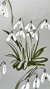 This is mesmerizing time-lapse video of snowdrops blooming on toned paper from yesterdays post 🌸 I think the use of toned paper adds a unique texture to the background, while the white ink highlights the intricate blooms of the snowdrops. Watching this video I’m reminded of the peaceful stroll through a snowdrop covered glade from last weekend. . Are you looking forward to a class on florals using toned paper? Let me know in the comments below!👇 . . @hahnemuehle_global @hahnemuehle_uk grey ske