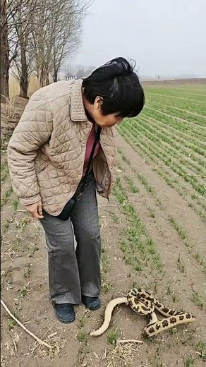 Record the humorous entertainment moments of the old couple in the countryside #79