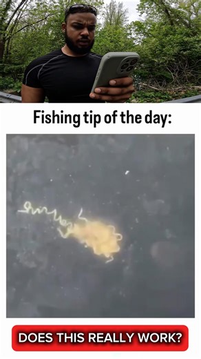 Do Fish EAT RAMEN?