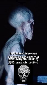 𝙎𝙏𝙍𝘼𝙉𝙂𝙀 ⚠️ 𝘼𝘾𝙏𝙄𝙑𝙄𝙏𝙄𝙀𝙎 on Instagram: "Everything in this video is alleged and not proven as being true. Looking at this video do you believe this is a real Grey Alien? It definitely doesn’t look like a person wearing a mask because of its features and its movement looks realistic to me. What’s your thoughts 💭!?? ————————————————————— ⚠️ Always Exclusive Content On Our Page 📲 Thanks For Following @StrangeActivitiez 💤 With The Letter “Z” at the END!! 🛸 Our Main Page Will ALWAYS