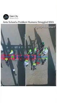 Scientists Discovered Swarm Intelligence… The Qur’an Mentioned It 1400 Years Ago #quran #science