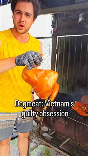 Dixie Dragon on Instagram: "South Vietnam has a dogmeat restaurant on every street, despite what some internet bots might try to tell you, it is one of this country's most popular meats. #travel #food #vietnam #surprise #dogs"