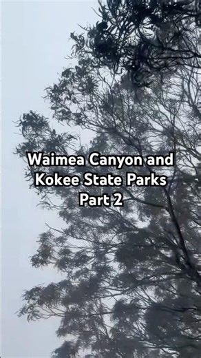 Waimea Canyon and Kokee State Parks — Part 2 | Kauai, Hawaii