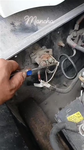 Mancha Mancha on Reels