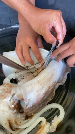 Cuttlefish ink 🖋️ | Denz Islle