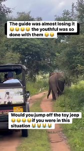 731K views · 7.8K reactions | What would be your first reaction if you were found in such a situation??? #fyiシ゚viralシ #FYI #animalreels #fyip #fypchallenge | Precious Praiz | Facebook